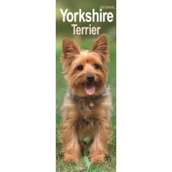 Yorkshire Terrier Slim Calendar 2026  Dog Breed Slimline Calendar - 12 Month