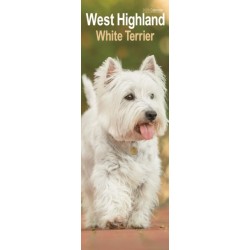 West Highland Terrier Slim Calendar 2026  Dog Breed Slimline Calendar - 12 Month