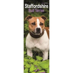 Staffordshire Bull Terrier Slim Calendar 2026  Dog Breed Slimline Calendar - 12 Month