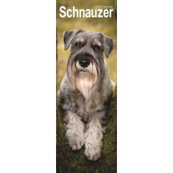 Schnauzer Slim Calendar 2026  Dog Breed Slimline Calendar - 12 Month