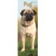 Pug Slim Calendar 2026  Dog Breed Slimline Calendar - 12 Month