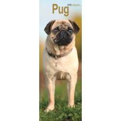 Pug Slim Calendar 2026  Dog Breed Slimline Calendar - 12 Month