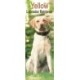 Yellow Labrador Retriever Slim Calendar 2026  Dog Breed Slimline Calendar - 12 Month