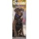 Chocolate Labrador Retriever Slim Calendar 2026  Dog Breed Slimline Calendar - 12 Month