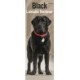 Black Labrador Retriever  Slim Calendar 2026  Dog Breed Slimline Calendar - 12 Month