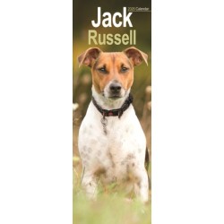 Jack Russell Slim Calendar 2026  Dog Breed Slimline Calendar - 12 Month
