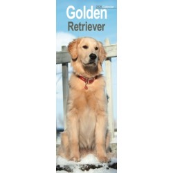Golden Retriever Slim Calendar 2026  Dog Breed Slimline Calendar - 12 Month