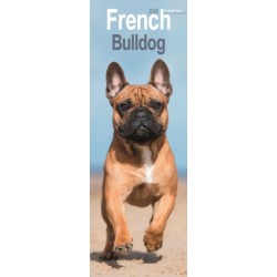 French Bulldog Slim Calendar 2026  Dog Breed Slimline Calendar - 12 Month