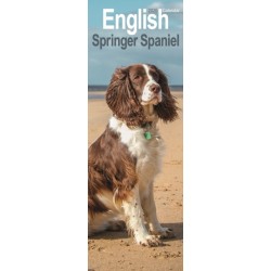 English Springer Spaniel  Slim Calendar 2026  Dog Breed Slimline Calendar - 12 Month