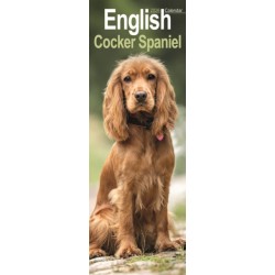 English Cocker Spaniel  Slim Calendar 2026  Dog Breed Slimline Calendar - 12 Month