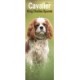 Cavalier King Charles Slim Calendar 2026  Dog Breed Slimline Calendar - 12 Month