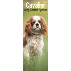 Cavalier King Charles Slim Calendar 2026  Dog Breed Slimline Calendar - 12 Month