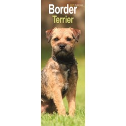 Border Terrier Slim Calendar 2026  Dog Breed Slimline Calendar - 12 Month