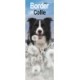 Border Collie Slim Calendar 2026  Dog Breed Slimline Calendar - 12 Month