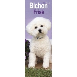 Bichon Frise Slim Calendar 2026  Dog Breed Slimline Calendar - 12 Month