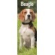 Beagle Slim 2026 Wall Calendar Calendar 2024  Dog Breed Slimline Calendar - 12 Month