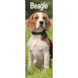 Beagle Slim 2026 Wall Calendar Calendar 2024  Dog Breed Slimline Calendar - 12 Month