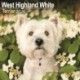 West Highland White Terrier Calendar 2026  Square Dog Breed Wall Calendar - 16 Month