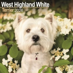 West Highland White Terrier Calendar 2026  Square Dog Breed Wall Calendar - 16 Month