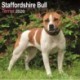 Staffordshire Bull Terrier Calendar 2026  Square Dog Breed Wall Calendar - 16 Month