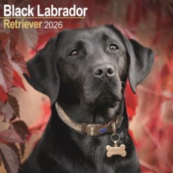 Black Labrador Retriever Calendar 2026  Square Dog Breed Wall Calendar - 16 Month