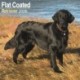 Flatcoated Retriever Calendar 2026  Square Dog Breed Wall Calendar - 16 Month