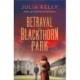 Betrayal at Blackthorn Park: A Mystery