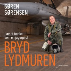 Bryd lydmuren