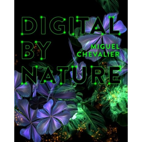 Miguel Chevalier: Digital by Nature