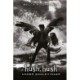 HUSH, HUSH -3: Under englevinger