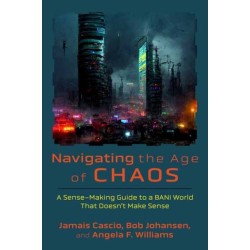 Navigating the Age of Chaos: A Sense-Making Guide to a BANI World That Doesnt Make Sense