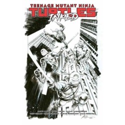 Teenage Mutant Ninja Turtles, Vol. 1: Return to New York