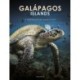 Galapagos Islands: A Showcase of Evolution