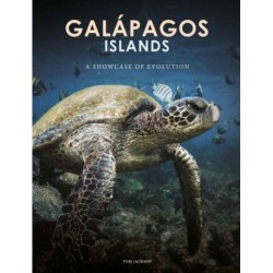 Galapagos Islands: A Showcase of Evolution