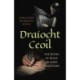 Dra?ocht Ceoil: The Sound of Magic in Irish Traditions