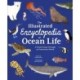 The Illustrated Encyclopedia of Ocean Life: A Visual Voyage Through an Underwater World