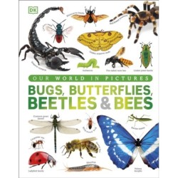 Our World in Pictures Bugs, Butterflies, Beetles and Bees