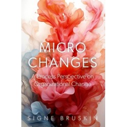 Micro Changes: A Process Perspective on Organizational Change