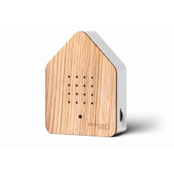 Zwitscherbox Egetræ: Fuglekvidder