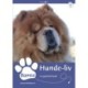 Bamse - en gammel hund