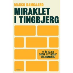 Miraklet i Tingbjerg: 11 år på en skole i et udsat boligområde