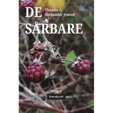 De sårbare