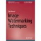 Image Watermarking Techniques