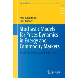 Stochastic Models for Prices Dynamics in Energy and Commodity Markets: An Infinite-Dimensional Perspective