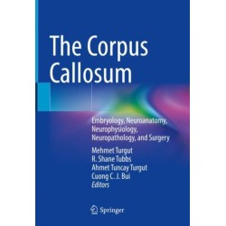 The Corpus Callosum: Embryology, Neuroanatomy, Neurophysiology, Neuropathology, and Surgery
