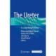 The Ureter: A Comprehensive Review