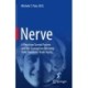 Nerve: A Physician Turned Patient and Her Courageous Recovery From Traumatic Brain Injury