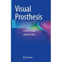 Visual Prosthesis: A Concise Guide