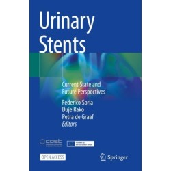 Urinary Stents: Current State and Future Perspectives
