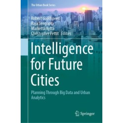Intelligence for Future Cities: Planning Through Big Data and Urban Analytics
